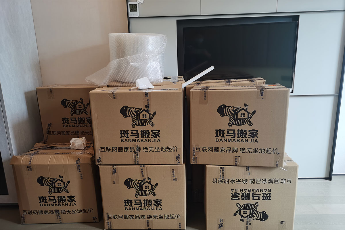 1655781909285789.jpg B3.jpg